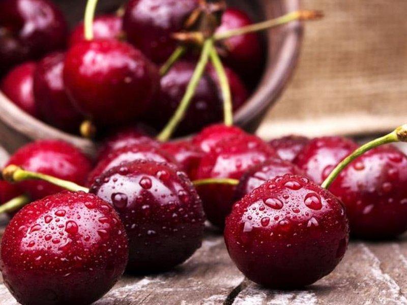 Вишня купить саженцы из питомника в Новороссийске